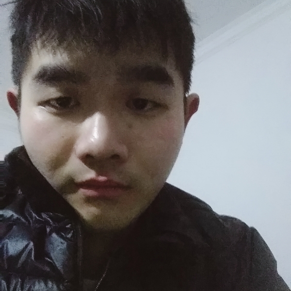 平常仙人掌的照片