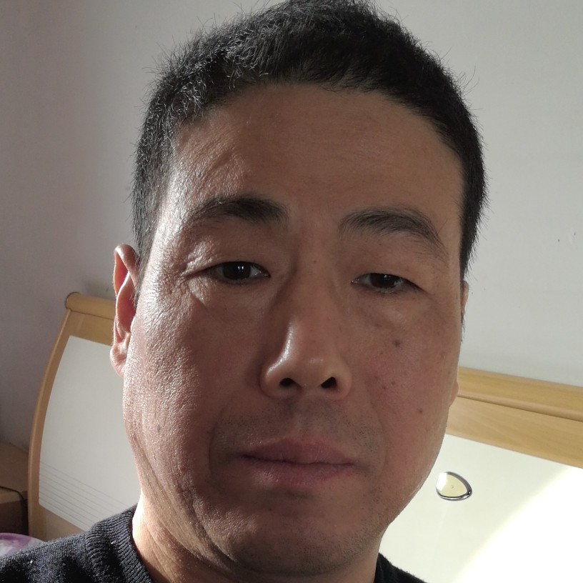 一只老虎的照片