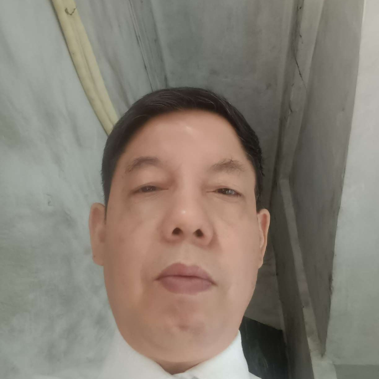 大雁愿斑驳的照片