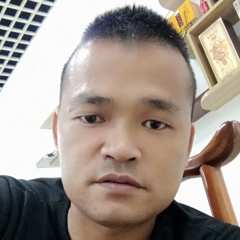 刺猬丰富的照片