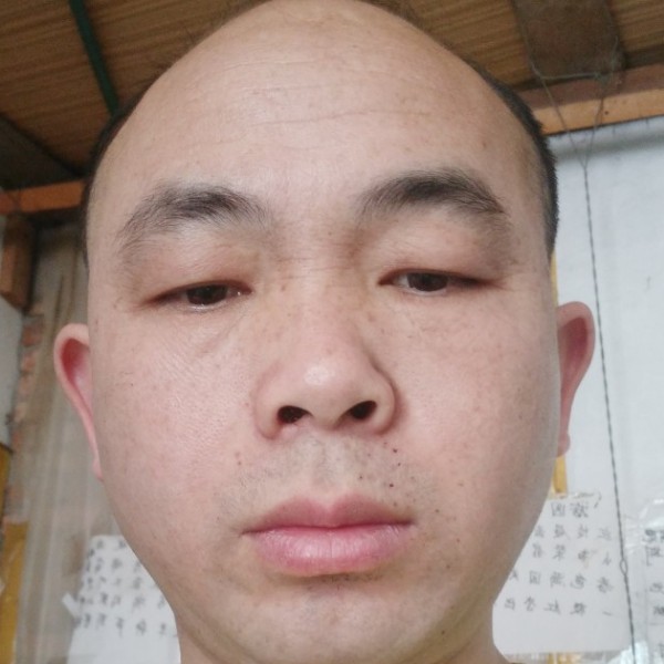 长颜草的照片