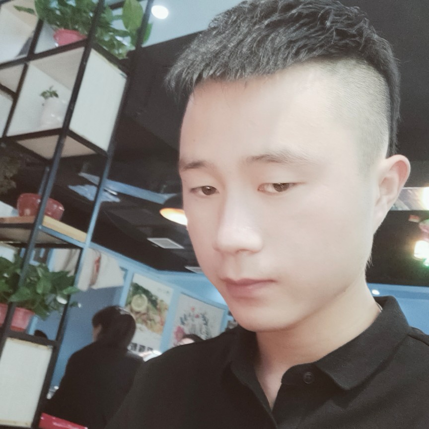 踏实向百合的照片