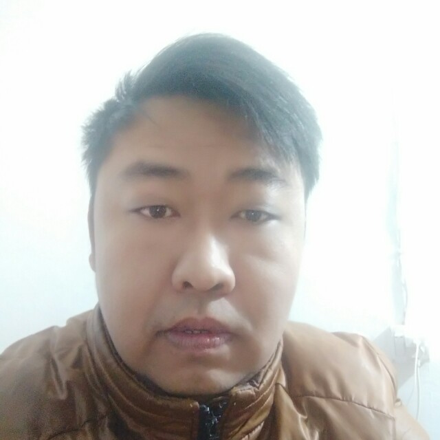 愤怒蝴蝶的照片