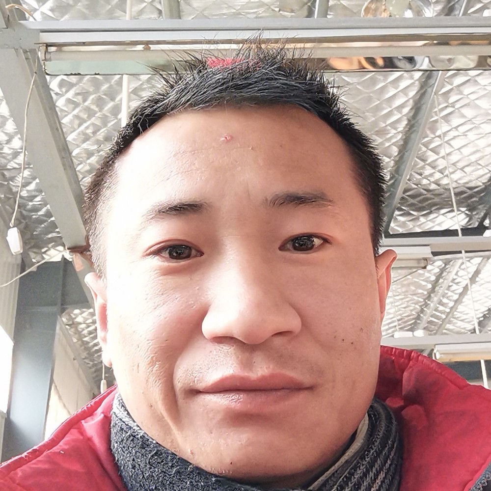 这妞儿不错的照片