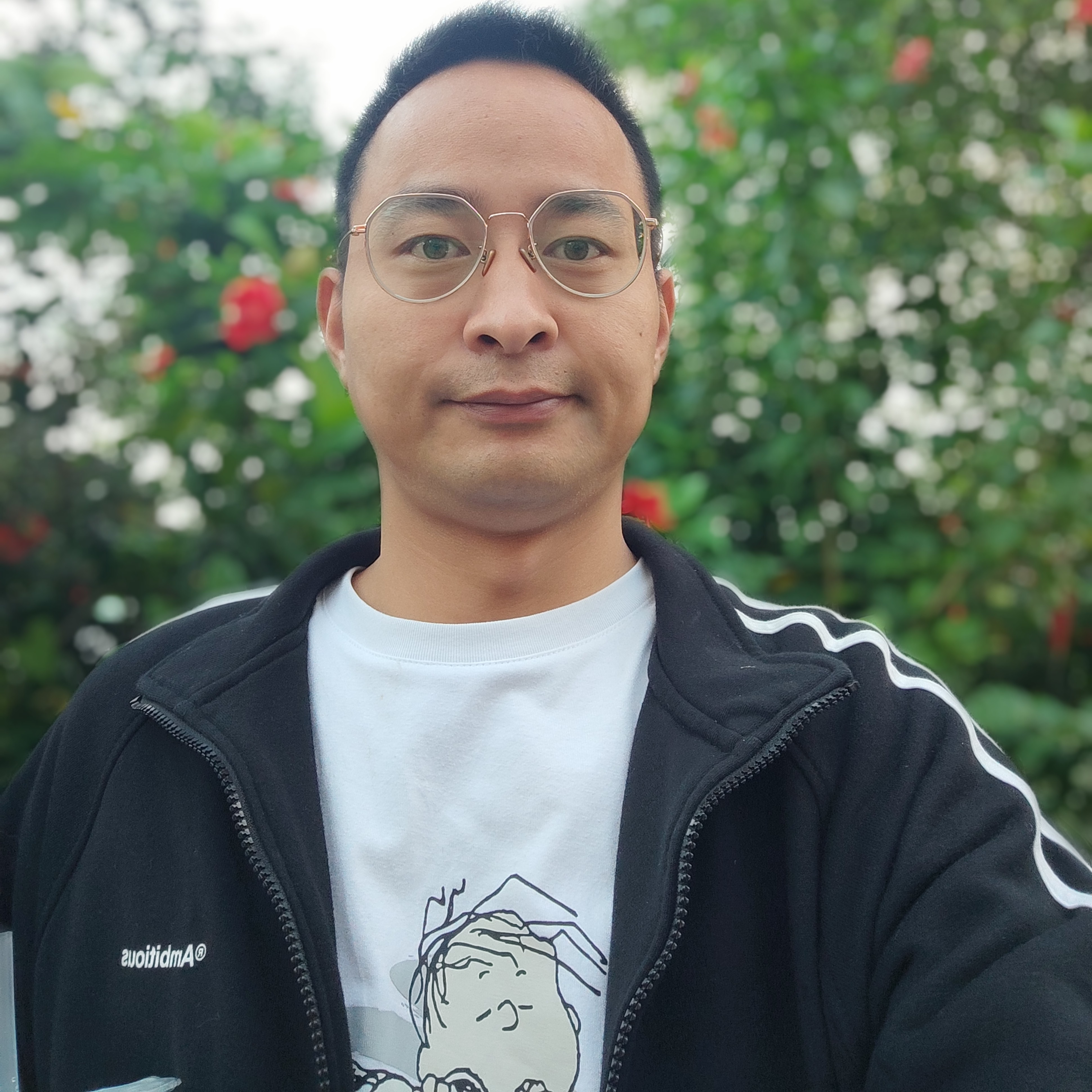 城中小巷的照片