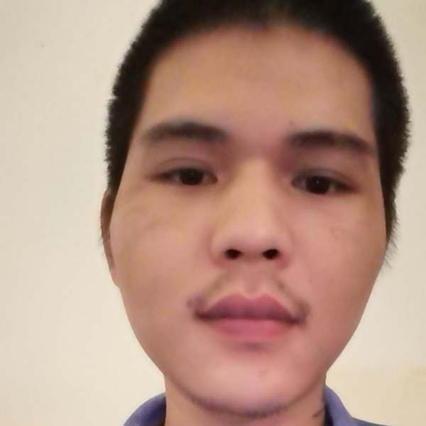 发夹过时的照片