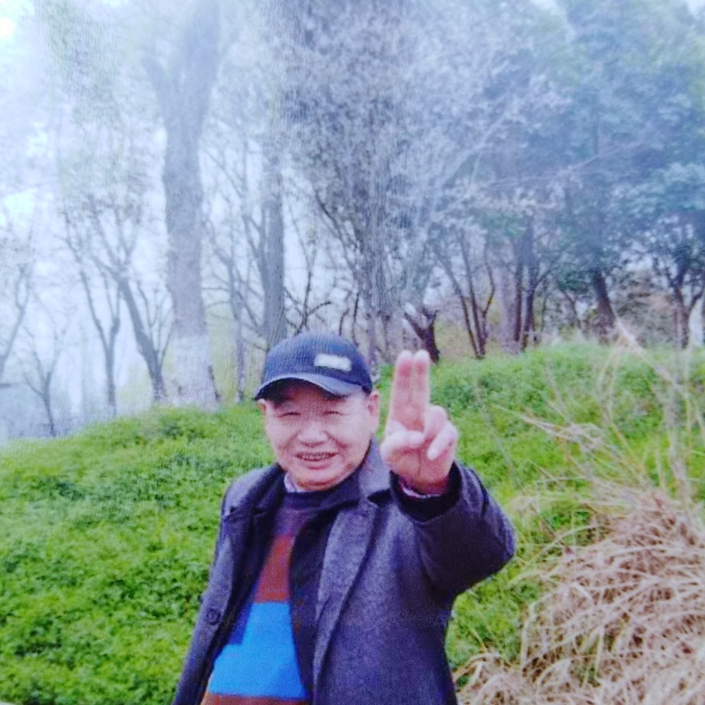 ‘∵‘的照片