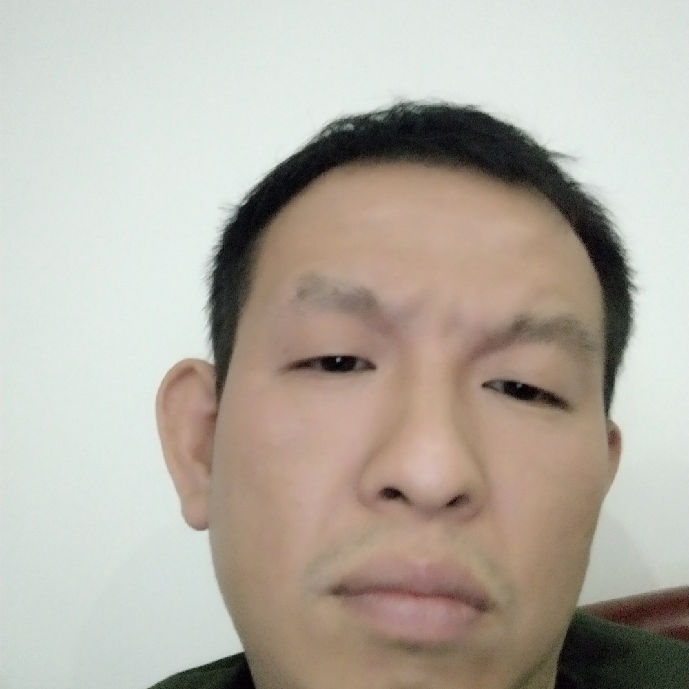 威威爱猫的照片