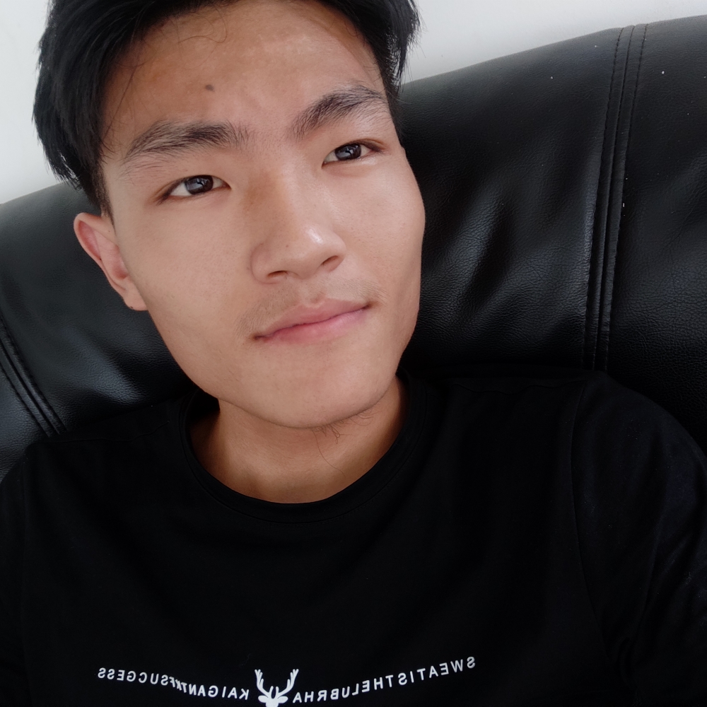 金毛用动听的照片