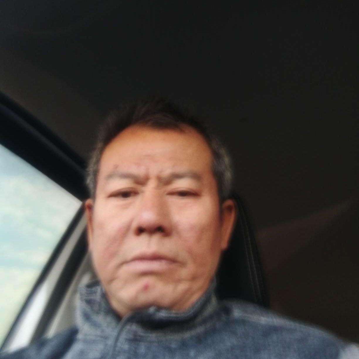 刺猬挽手矫情的照片