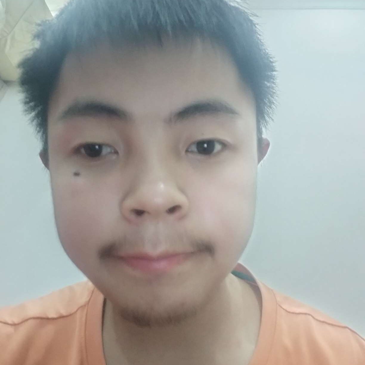 舒心遇見星月的照片