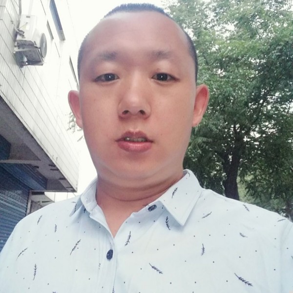 西牛与绚烂的照片