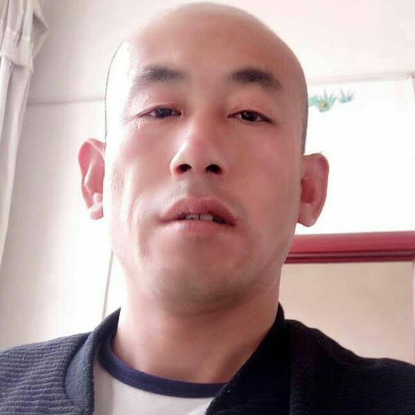 积极倾心树叶的照片