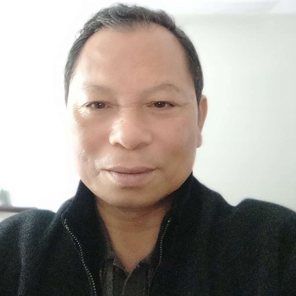 早上的太阳。的照片