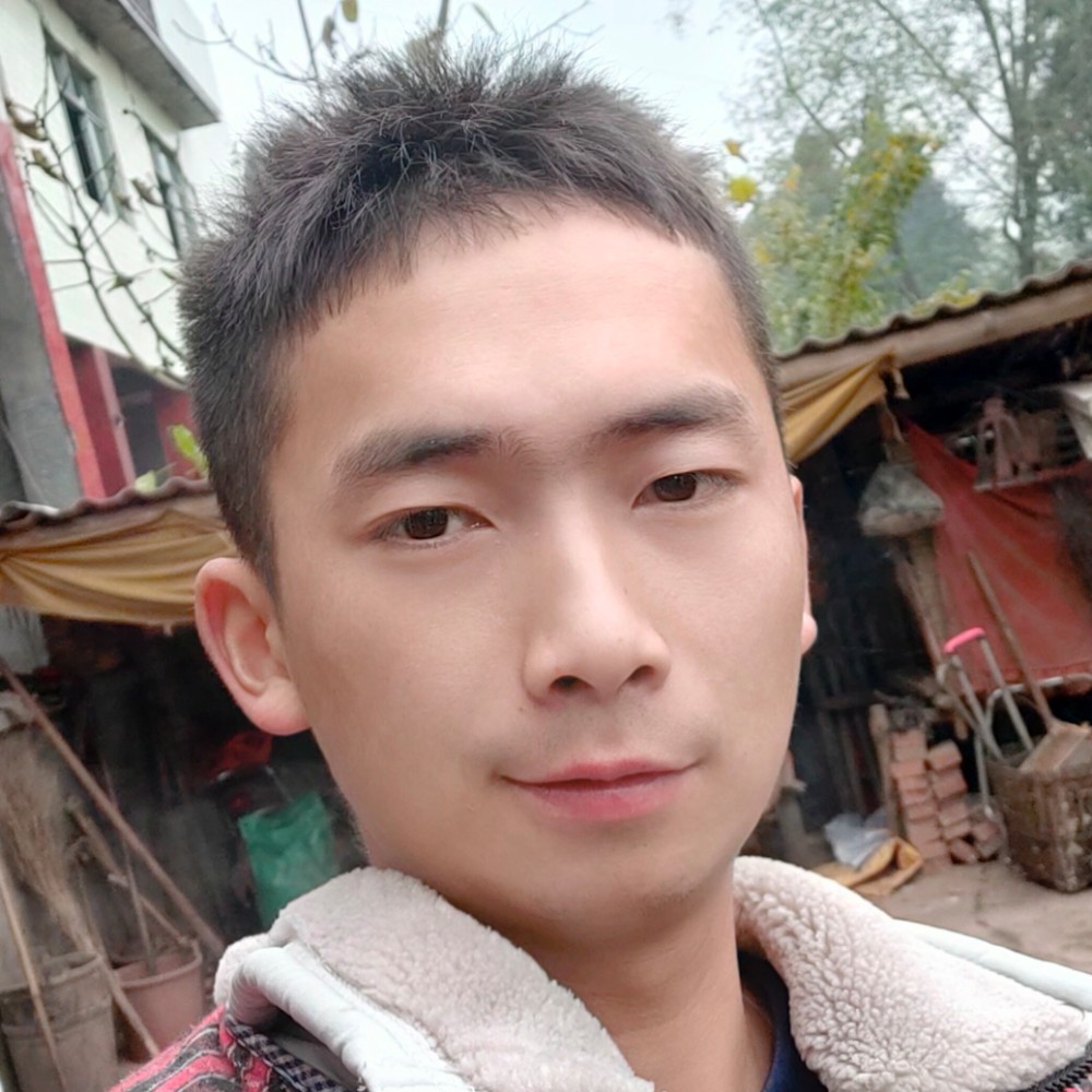 玉米豆豆的照片