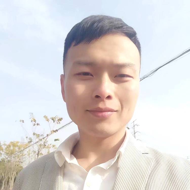北飞的侯鸟的照片