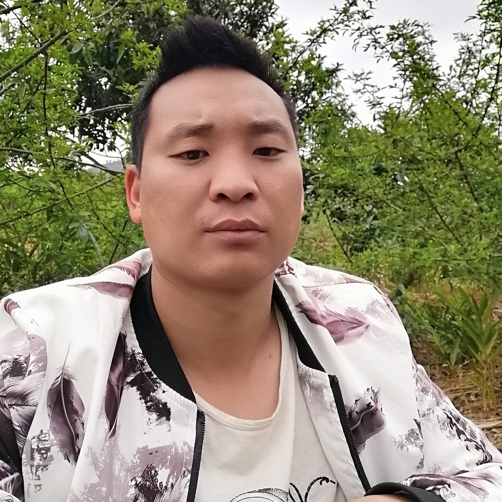蛋挞扯端庄的照片