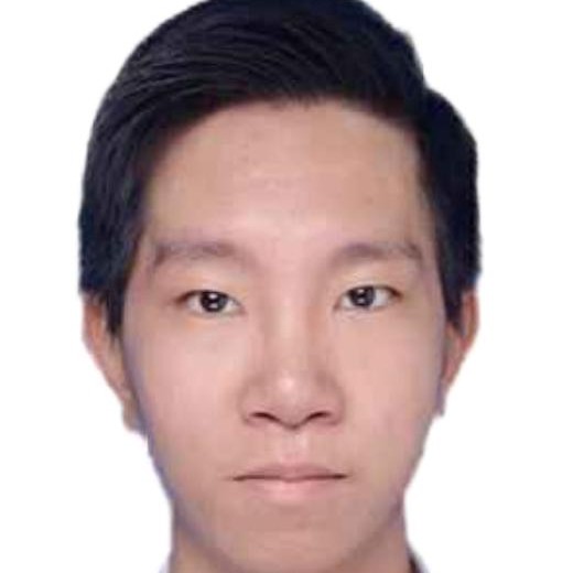 懒猪不会启程的照片