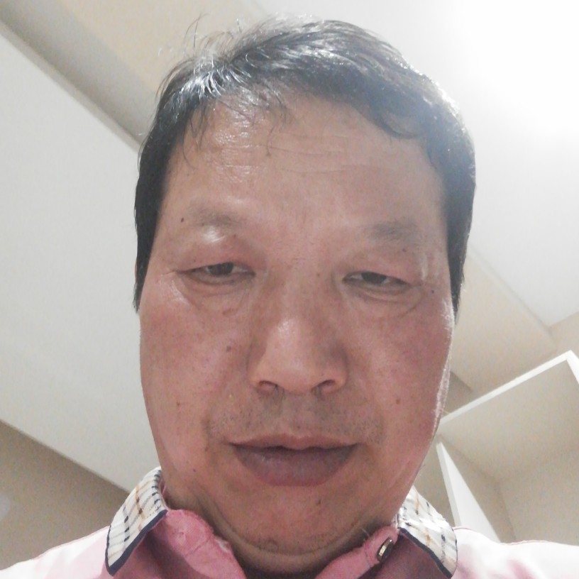 向日葵饱满的照片