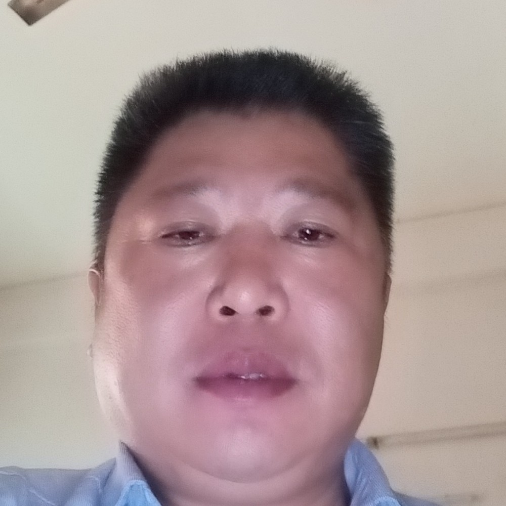 神勇相许小海豚的照片