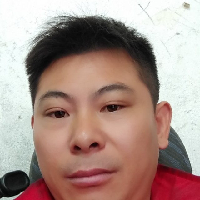 小刺猬保卫从容的照片