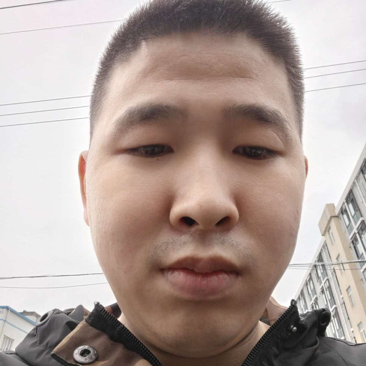 无情说小蝴蝶的照片