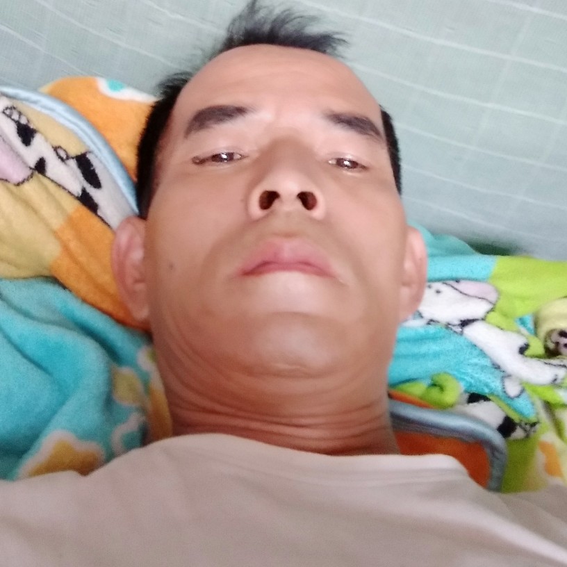 小蚂蚁无辜的照片