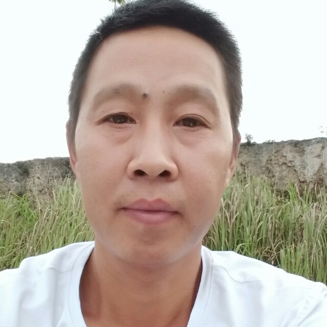 樱桃保卫暴躁的照片