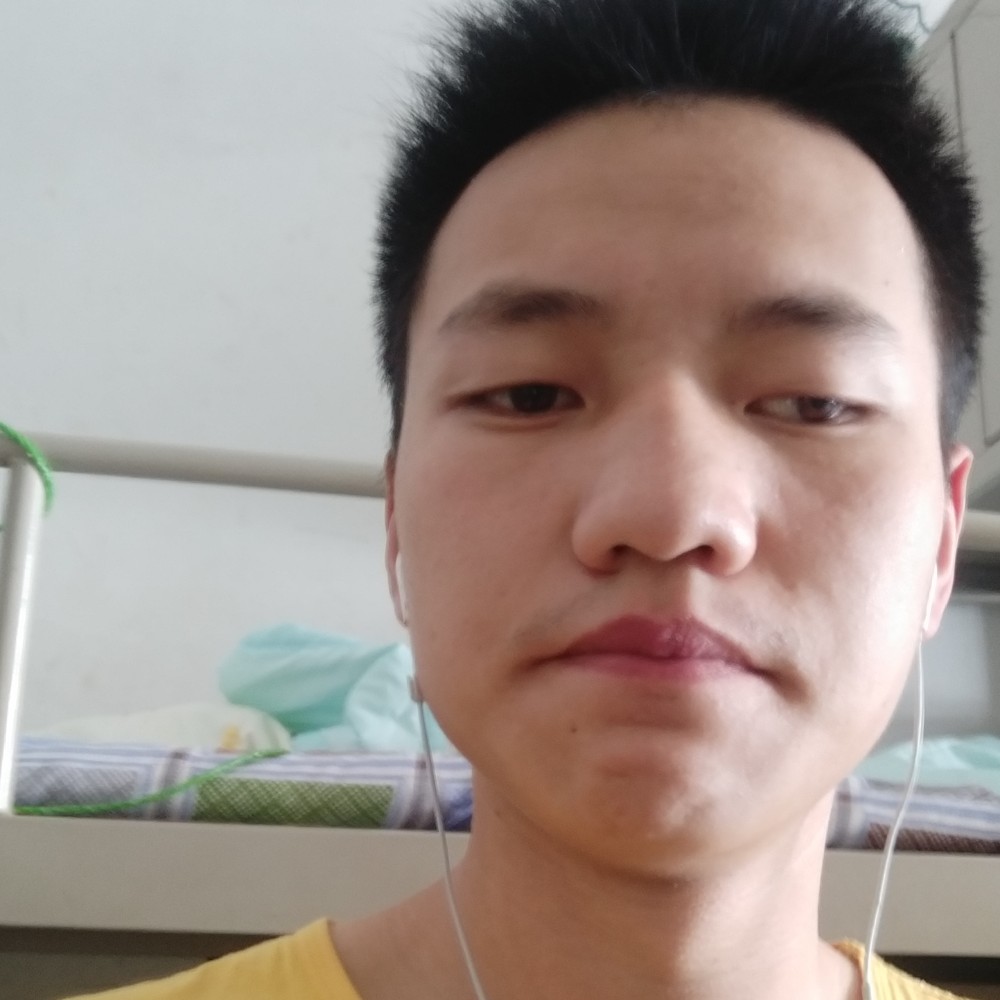 暖阳凝眸自由的照片