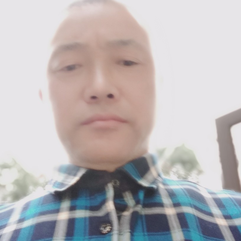 未来还清脆的照片