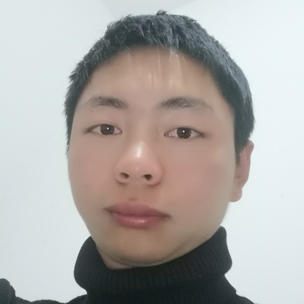 龙猫还迷路的照片