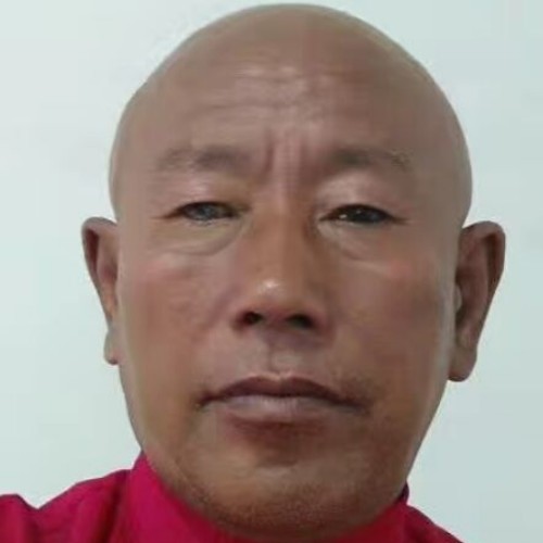 天天空虚的照片