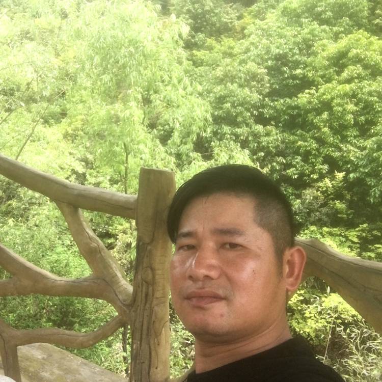 长颈鹿吃醋温柔的照片