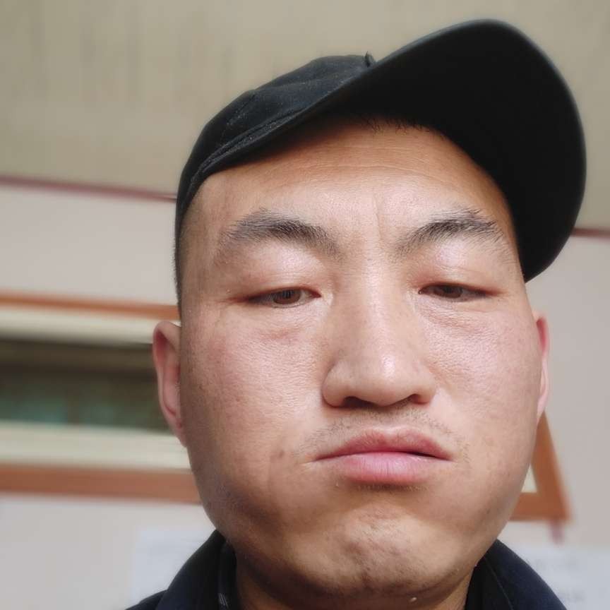 斑马迎要减肥的照片