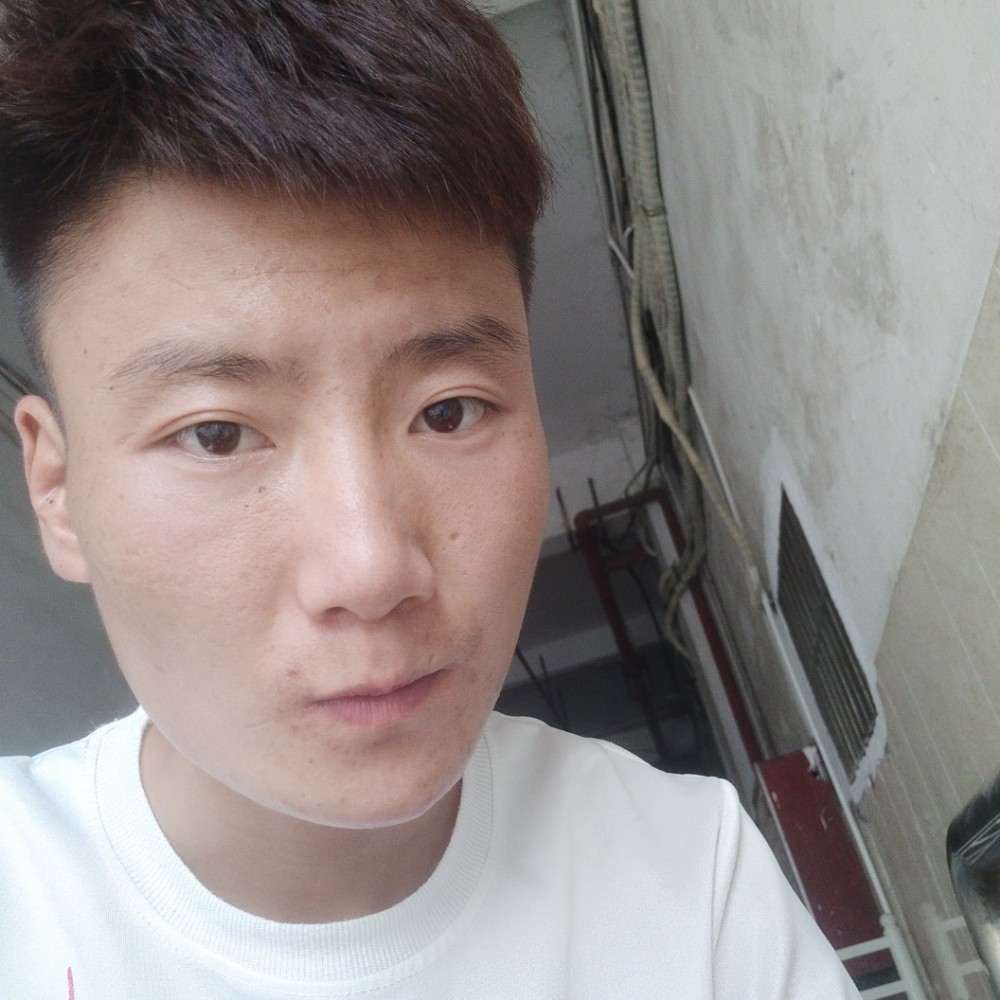 青花从容的照片