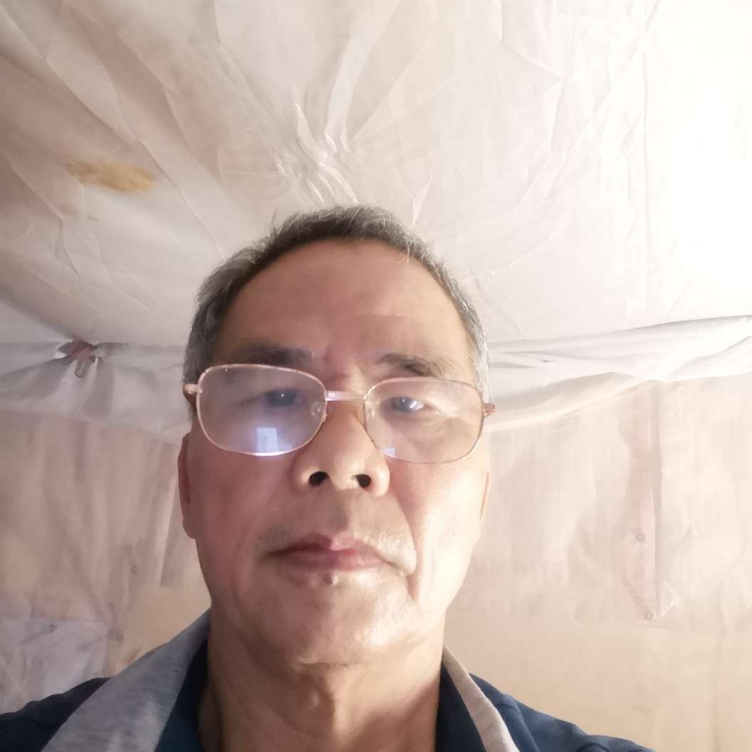 机智多么钢铁侠的照片