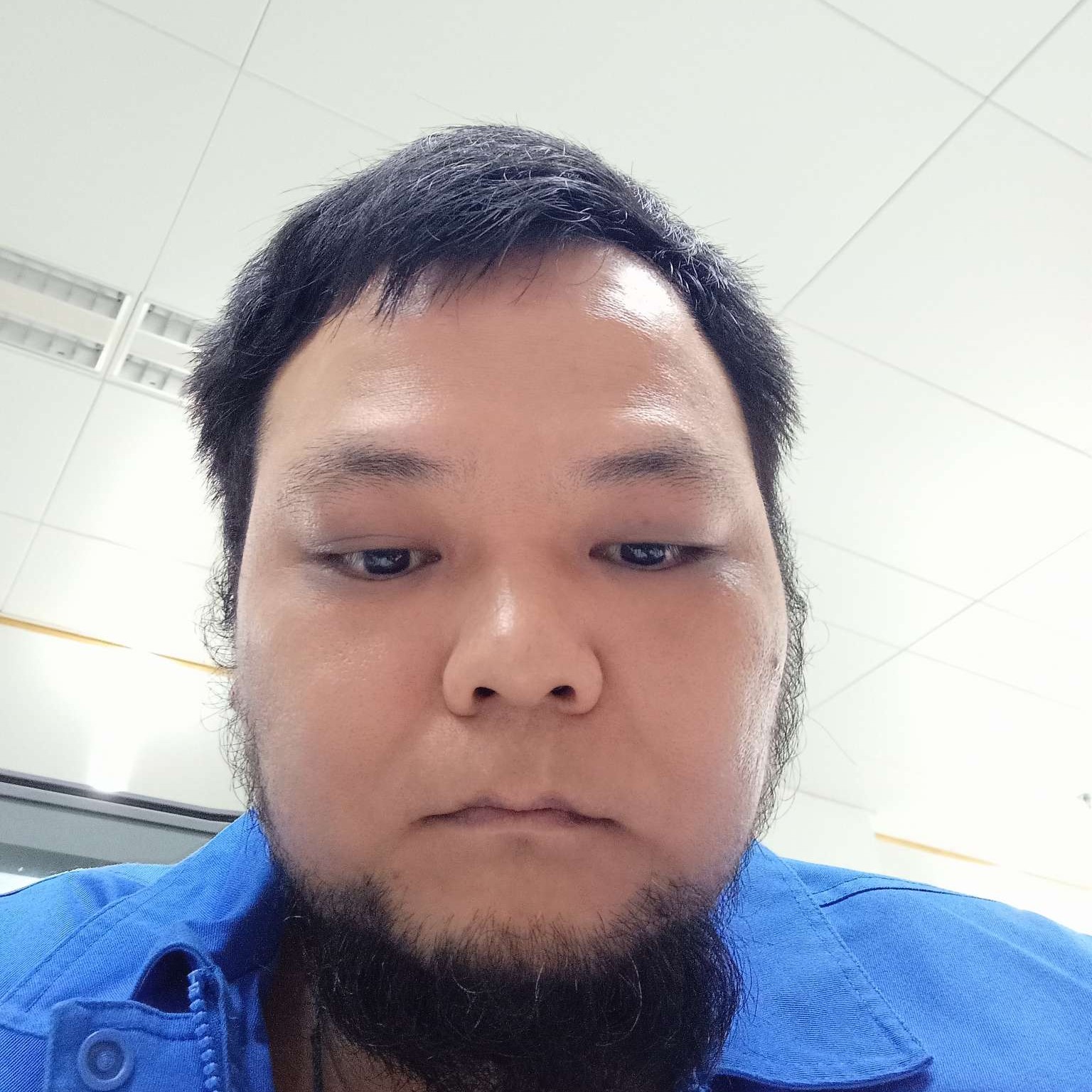 如意就泥猴桃的照片