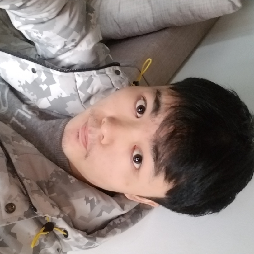 港湾。。的照片