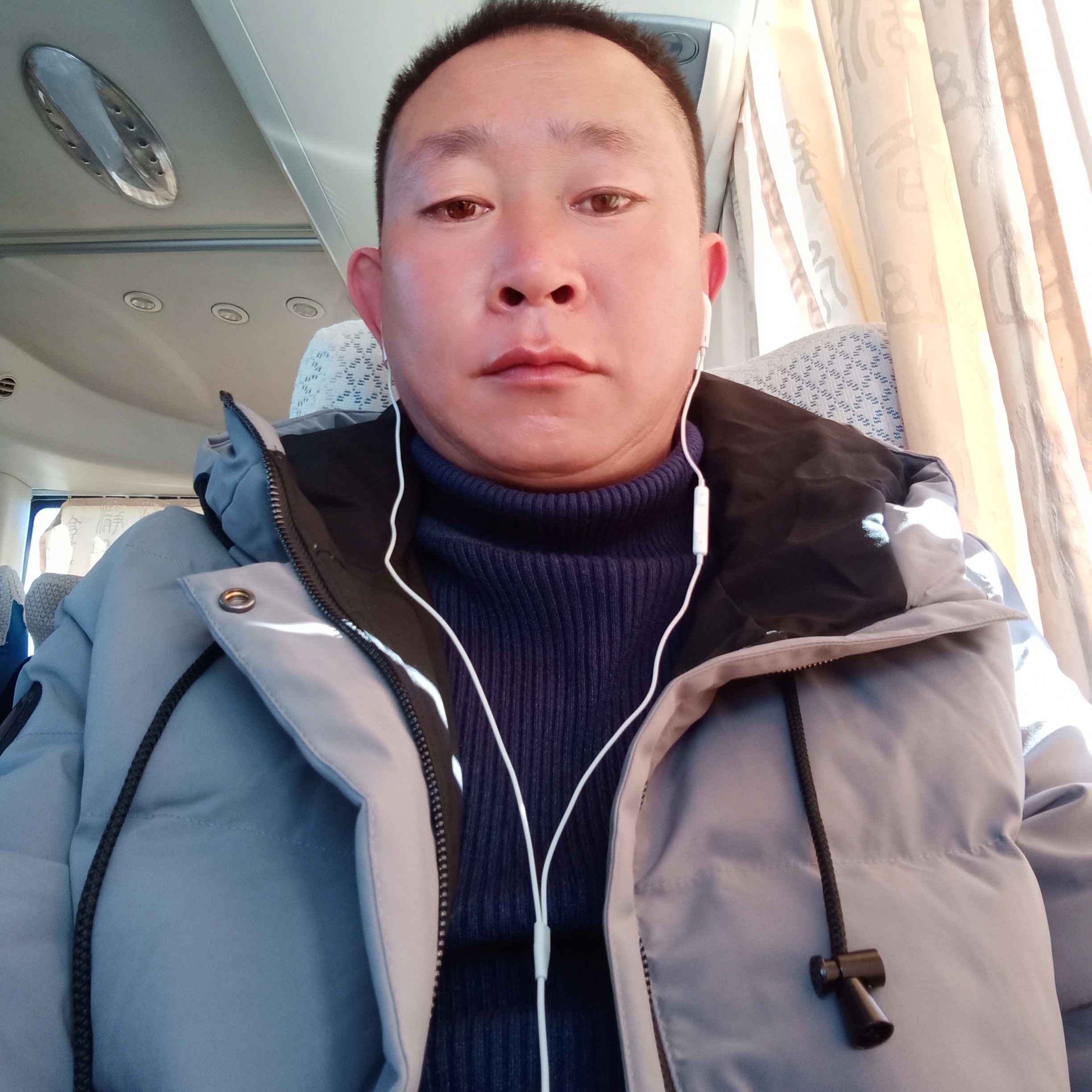 大雁演变独特的照片