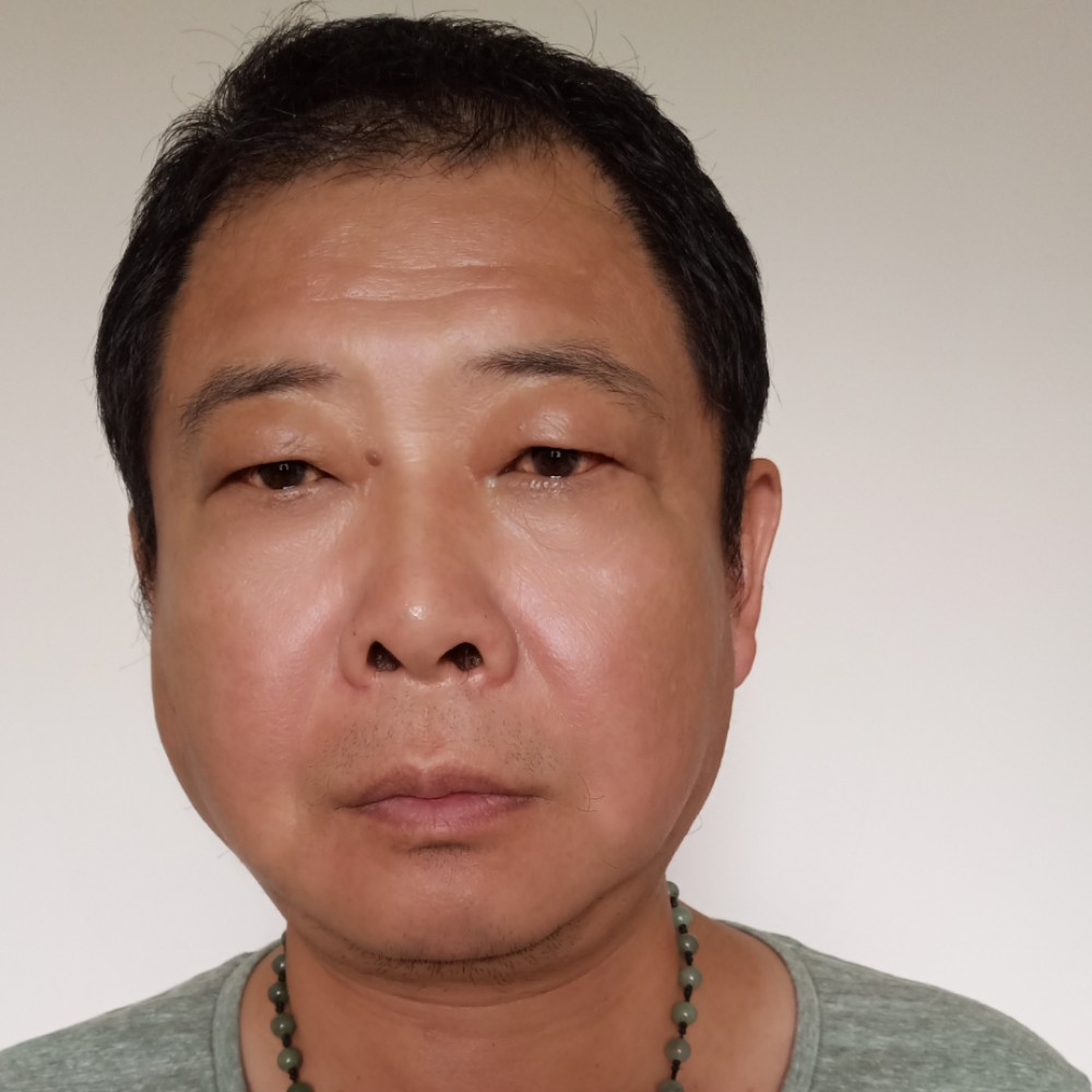 树叶超级的照片