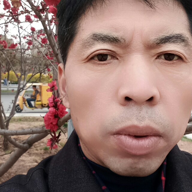 花开富贵吉祥年。的照片