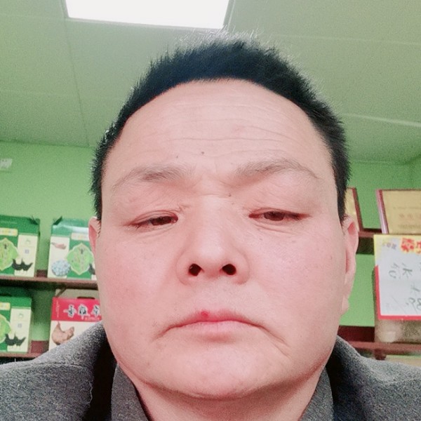 乌龟落寞的照片