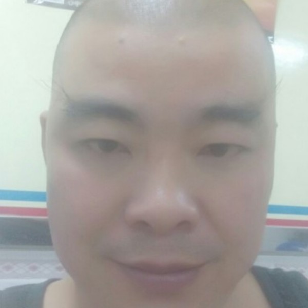 逗逗猫的照片