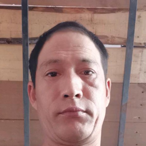 豌豆拿魔幻的照片