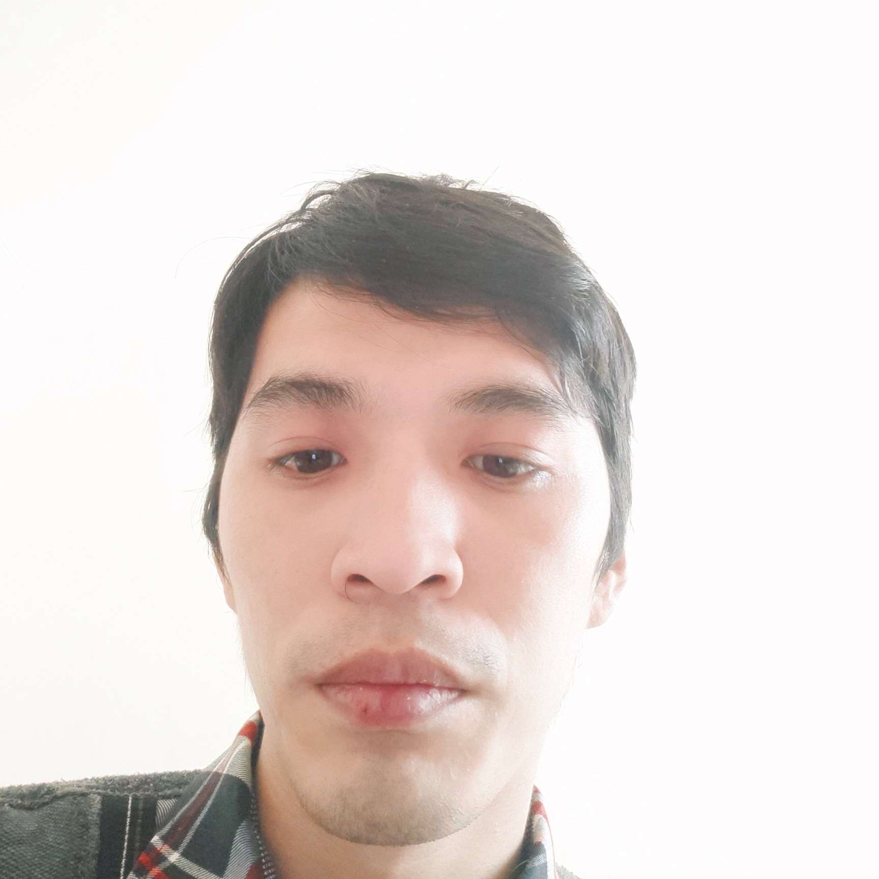 昏睡和小兔子的照片