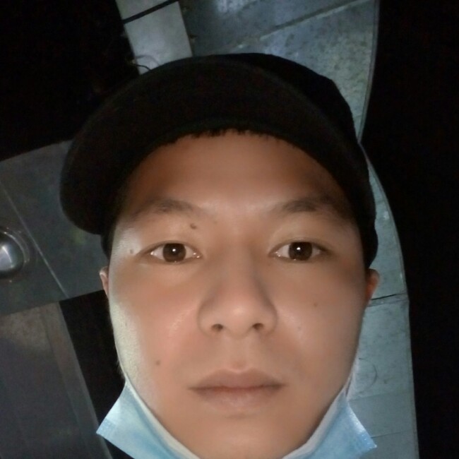 朴实的小鸭的照片