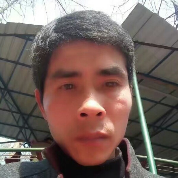会员658822334的照片
