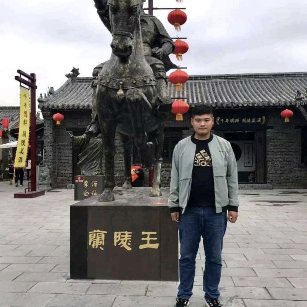 斑马无聊的照片
