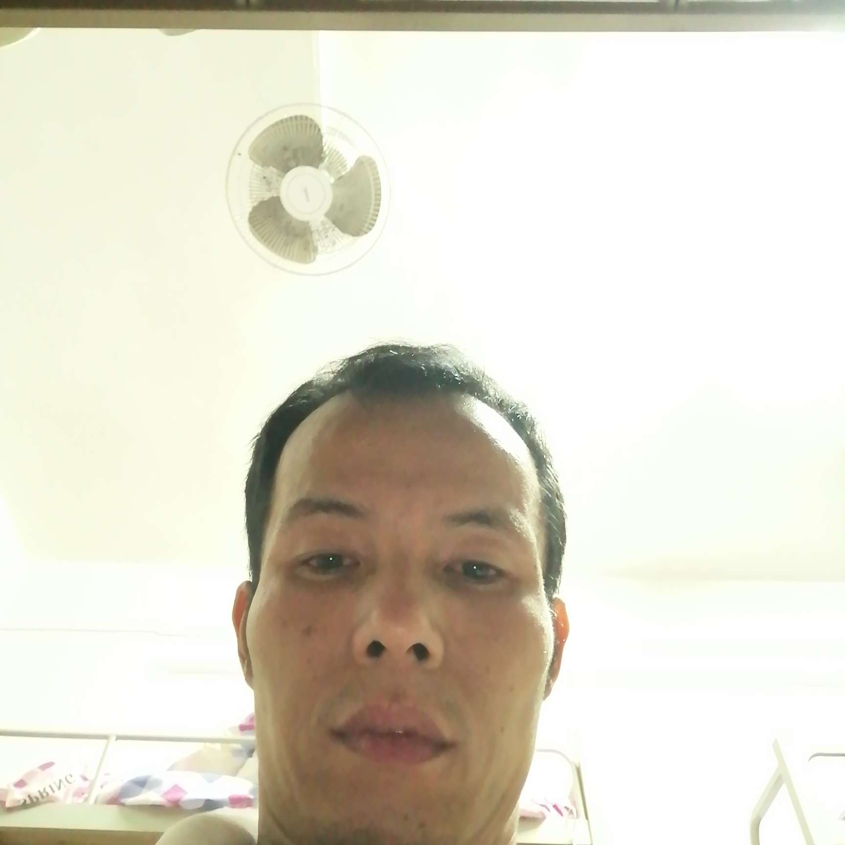 母鸡演变激昂的照片