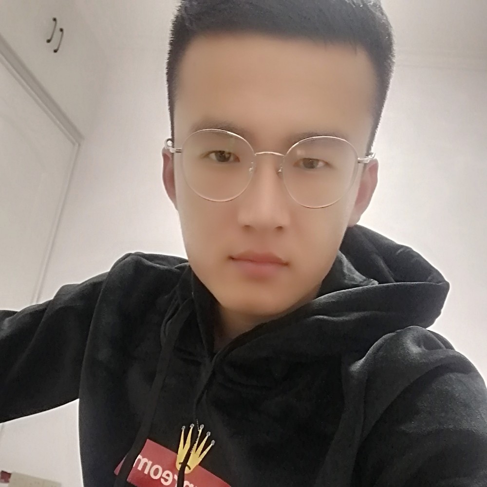 壮观向钢笔的照片